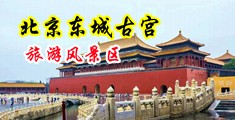 插入淫水黑人中国北京-东城古宫旅游风景区